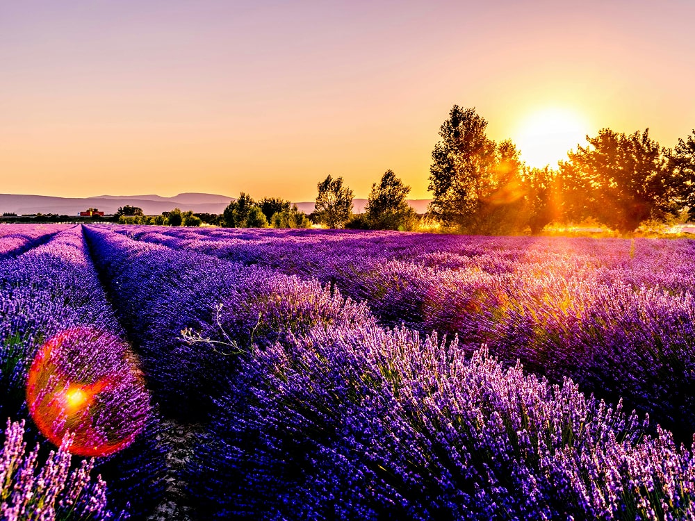 Spring Awakens the Soul