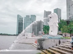 Travel Tips to Save Money on a Group Tour to Singapore group tour to singapore