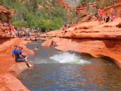 Adventure Cove Singapore: An Embracive Guide to Enjoyment and Calmness adventure cove singapore