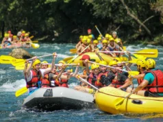 How Families Can Improve Bonding experiences at the Adventure Cove Singapore adventure cove singapore