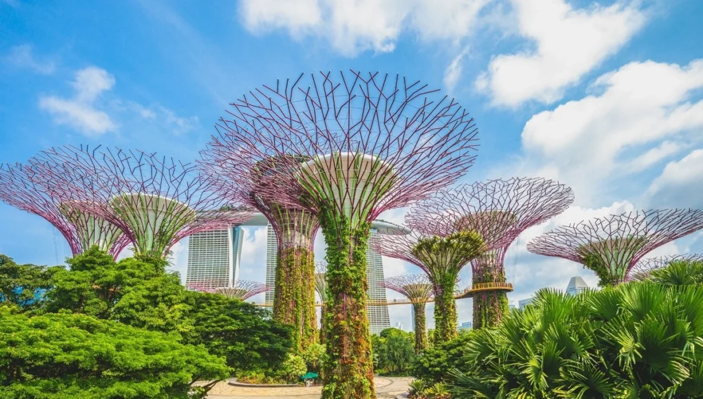 group tour to singapore