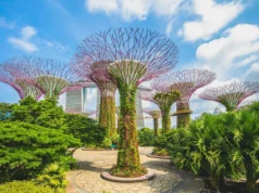 Maintain the Connection and be in a Group Tour to Singapore group tour to singapore