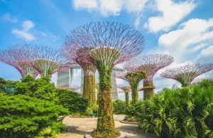 Maintain the Connection and be in a Group Tour to Singapore group tour to singapore