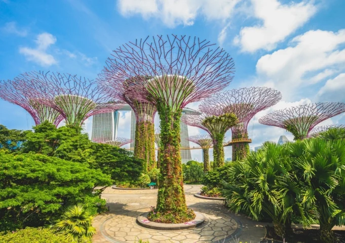 Maintain the Connection and be in a Group Tour to Singapore group tour to singapore